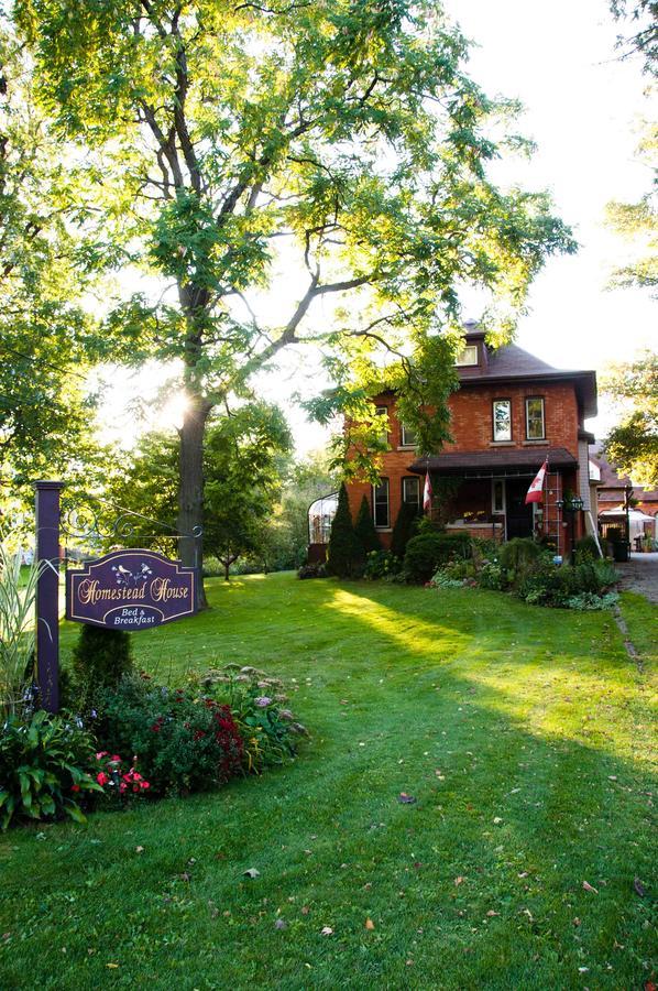Homestead House B&B Hamilton Extérieur photo