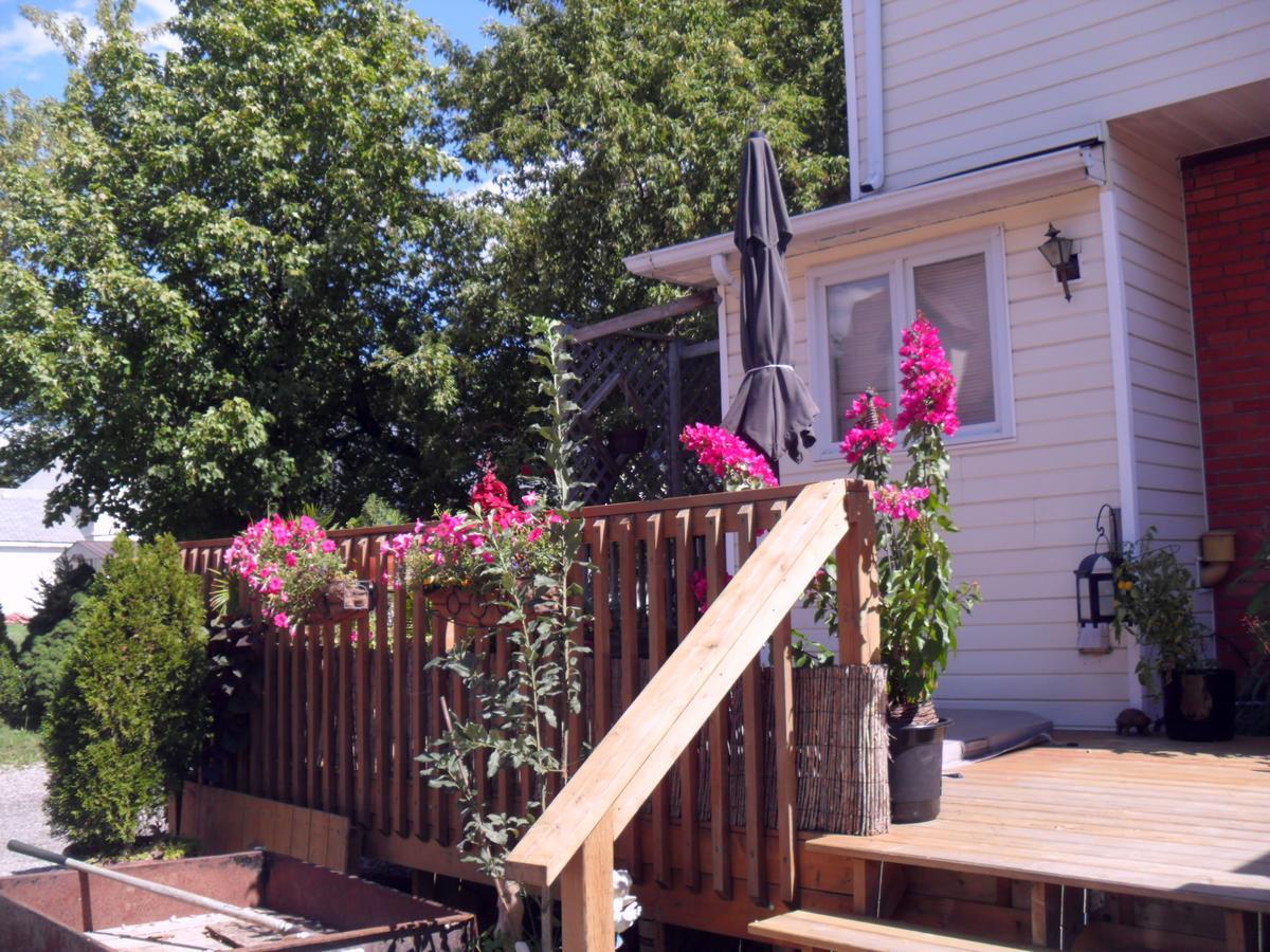 Homestead House B&B Hamilton Extérieur photo