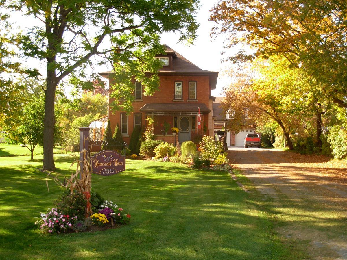 Homestead House B&B Hamilton Extérieur photo